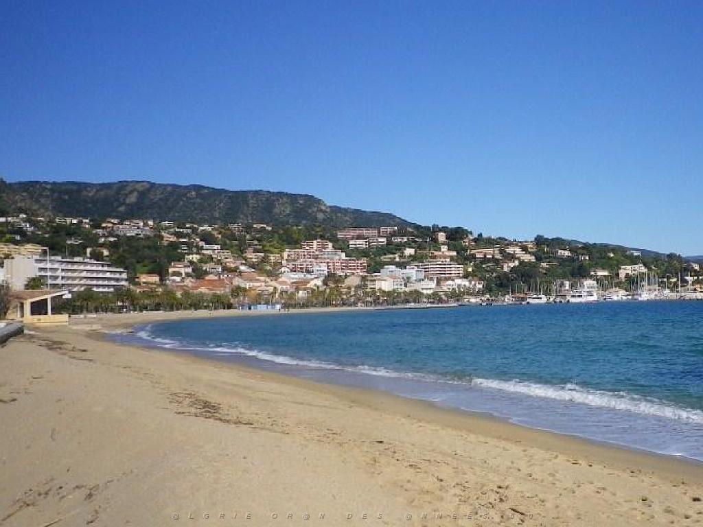 183 D36 LE LAVANDOU_000004.jpg